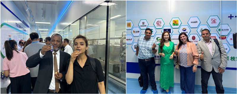 銀川伊百盛生物工程有限公司 銀川伊百盛生物工程有限公司