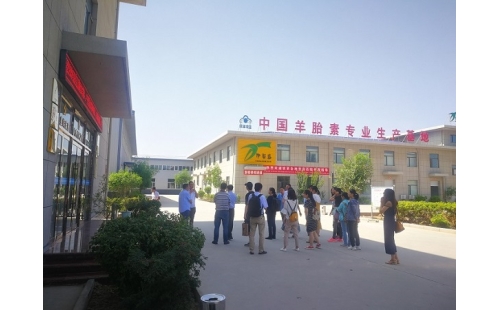 江南大學(xué)、寧夏大學(xué)課題組專家蒞臨伊百盛調(diào)研交流